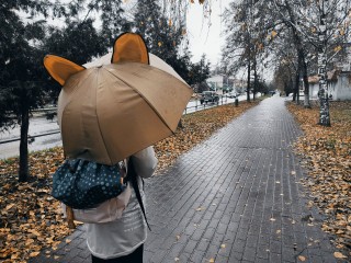 Осенний камбэк: тепло вернется в Москву и Подмосковье с этой даты