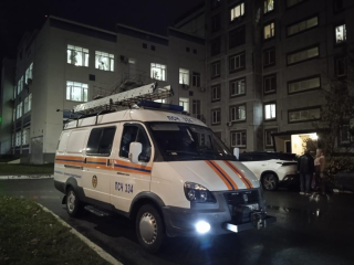 Что делать, если ребенок заперся в квартире? Спасатели помогли матери в Ступине