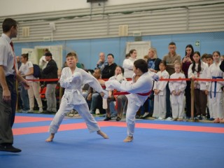 Настрой на победу: реутовские каратисты завоевали 28 наград