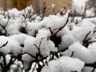 Снег вернется в Подмосковье еще в ноябре: названа точная дата