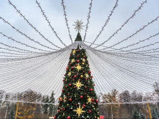 Советской елке - 90 лет! Как отпразднуют в Сергиевом Посаде эту дату без флэшмоба и салюта