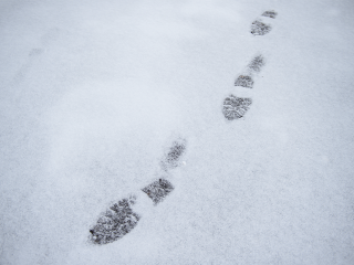 Синоптики Леус и Тишковец раскрыли дату, когда Подмосковье увидит первый настоящий снег