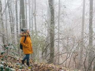 Как выжить в ноябрьском лесу Электрогорска