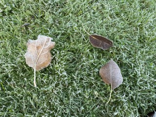 Синоптики назвали причину резкой смены погоды и появления гололеда в Подмосковье