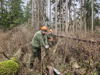Лесничие наводят чистоту в егорьевских лесах