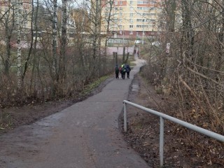 Горы битого стекла вывезли с пешеходной дорожки в Ивантеевке