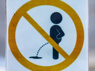 Подмосковный юрист рассказал, когда поход в туалет под открытым небом становится преступлением