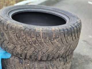 Домодедовская эко-активистка очищает город от шин своими руками