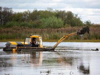 Озерные ниндзя на амфибиях: как в Коломне вернули красоту 39 гектарам воды