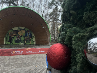 В округе 1 декабря празднично засияют 27 елей в парках и общественных местах