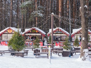 Зима в Подмосковье обещает быть теплее обычного — синоптики опровергают страшилки о расколе морозов