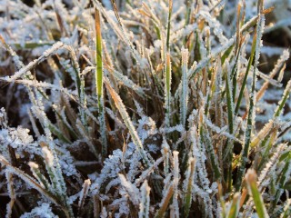 Зима близко: в Подмосковье похолодает уже через считанные дни