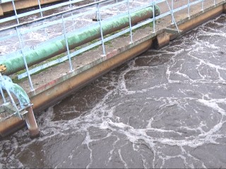 Электростальским студентам показали полный цикл обработки сточных вод