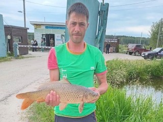 Жительница Егорьевска случайно узнала о смерти своего мужа на «Госуслугах»