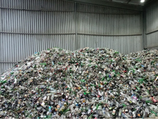 Стеклянные отходы превращают в полезные материалы: какие виды стекла используют и как это помогает экологии