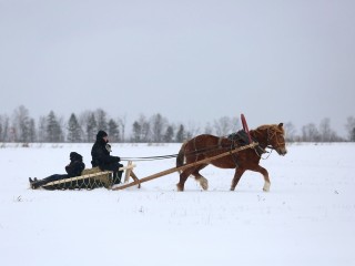 Какой народный праздник отмечают 8 ноября 2025: что можно и нельзя делать в Дмитриев день