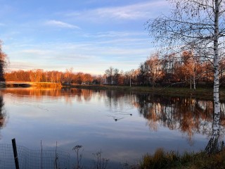Ждать ли москвичам в ноябре зимних морозов: синоптик дал прогноз