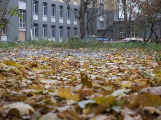 Синоптики назвали, когда будет последний теплый день этой осени в Подмосковье