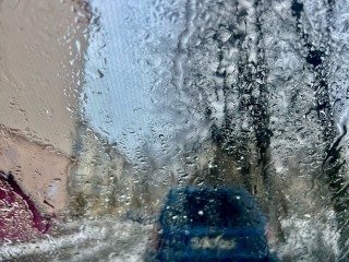 Без снеговиков: эти ноябрьские в Лосино-Петровском запомнятся теплом и дождями