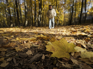 Будет ли зима в ближайшие дни? Синоптики раскрыли подробности погоды на праздничные дни в Подмосковье