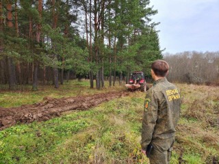 «Загорское море» теперь под защитой: в лесопарке появилась километровая «противопожарная стена»