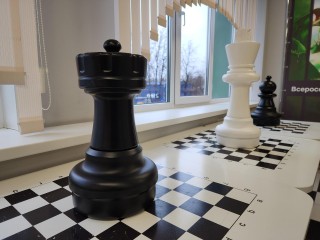 Лучшие школьники-робототехники из Подмосковья представили свои разработки в Электростали