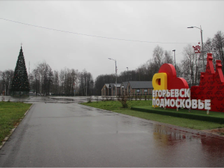 В центральном парке Егорьевска установили новогоднюю ель