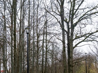 Каким в Подмосковье будет первый день декабря