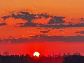 Небо как в фильме: жители Истры увидели невероятный розовый рассвет