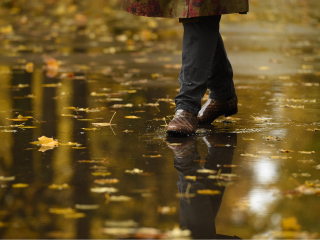 Синоптик Тишковец назвал точную дату, когда в Подмосковье закончатся дожди