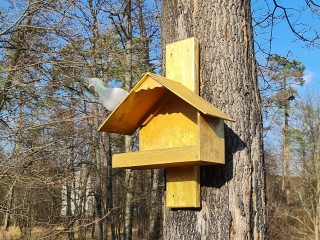 Фотохудожник расскажет луховичанам, как снимать птиц, зверей и насекомых