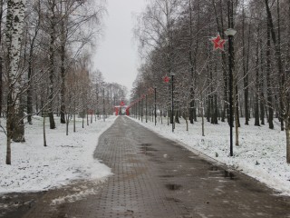 Стало известно, когда в Егорьевске ждут первый снег