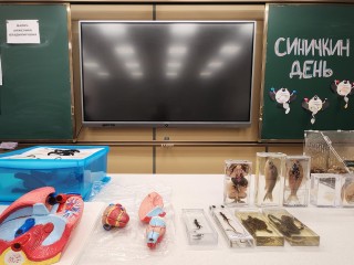 Новый учитель биологии из «Интеллектуала» в Звенигороде рассказала о подготовке учеников в вузы