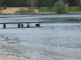 Черноголовцы до 10 декабря могут поучаствовать в голосовании по очистке Южного озера