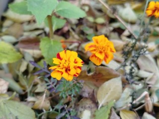 Предстоящие выходные в Подмосковье будут относительно теплыми