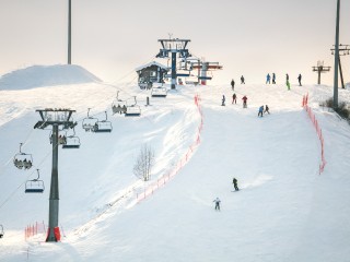 Снега будет мало, а гостей — много: как Подмосковье готовится к зиме