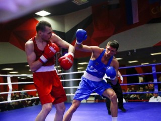 Шаховской боксер победил конкурентов на ринге на соревнованиях в Одинцово