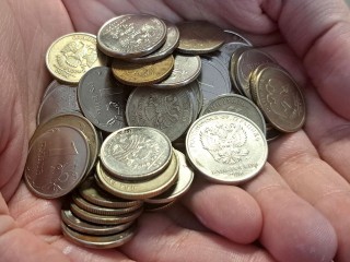 Мелочи на 15 слонов: жители Московского региона сдали в банк рекордное количество монет