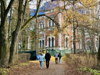 Снежноягодник признали опасным: почему детям не советуют хлопать его плоды