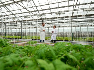 Озерское хозяйство получило статус селекционно-семеноводческой компании