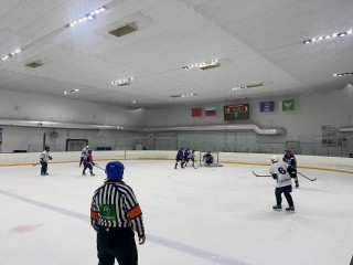 Хоккеисты из Шаховской разгромили команду из Павловского Посада