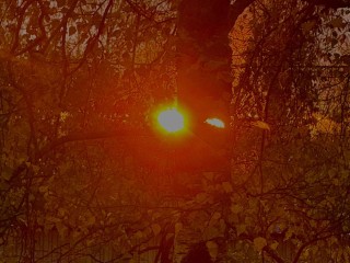 Хочешь, чтобы желание сбылось? Только 9 ноября на Параскеву древний ритуал сработает безотказно