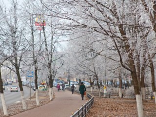 В Подмосковье погоду начнет лихорадить с выходных