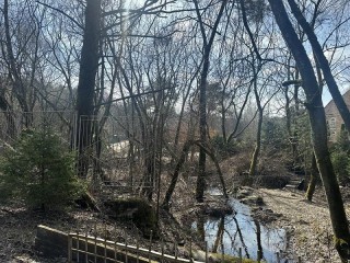 Течет ручей, бежит ручей: как в Домодедове защищают право граждан на доступ к воде