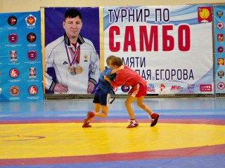 Серпухов принимает XI турнир по самбо, посвященный памяти выдающегося спортсмена Николая Егорова