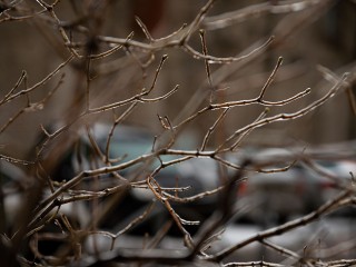 Морозы и снег откладываются: антициклон несет в Подмосковье тепло с дождями