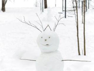 Эксклюзивные «руки» для снеговика продает жительница Щелкова