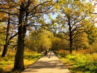 Еще немного — и столица поседеет: синоптик Тишковец рассказал, когда наконец придет зима