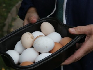 «Не бойтесь, я вас не уроню»: пассажиры автобуса №21 стали свидетелями необычной беседы