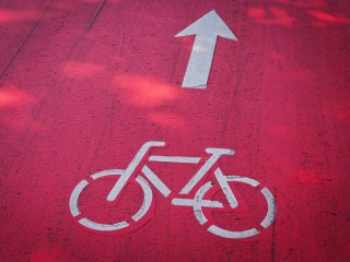 В «Лосином острове» предложили создать велодорожку, глэмпинг и школу лесовода